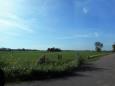 DSCN0124