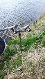 IMG-20190413-WA0000