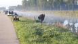 IMG-20190916-WA0000