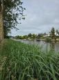 IMG-20250607-WA0001.jpg