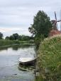 IMG-20250705-WA0003.jpg