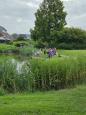 IMG-20250717-WA0010.jpg