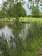 IMG-20250717-WA0015.jpg