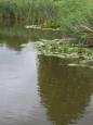 IMG-20250717-WA0017.jpg