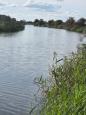 IMG-20250906-WA0002.jpg