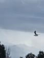 IMG-20251005-WA0002.jpg