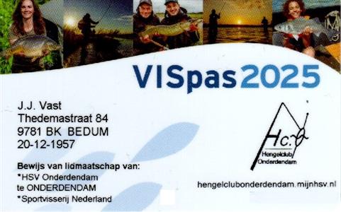 VISpas 2025