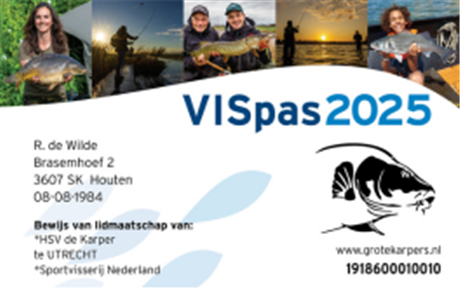 VISpas 2025